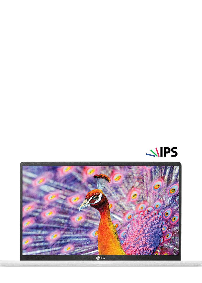 Experiência de visualização mais ampla